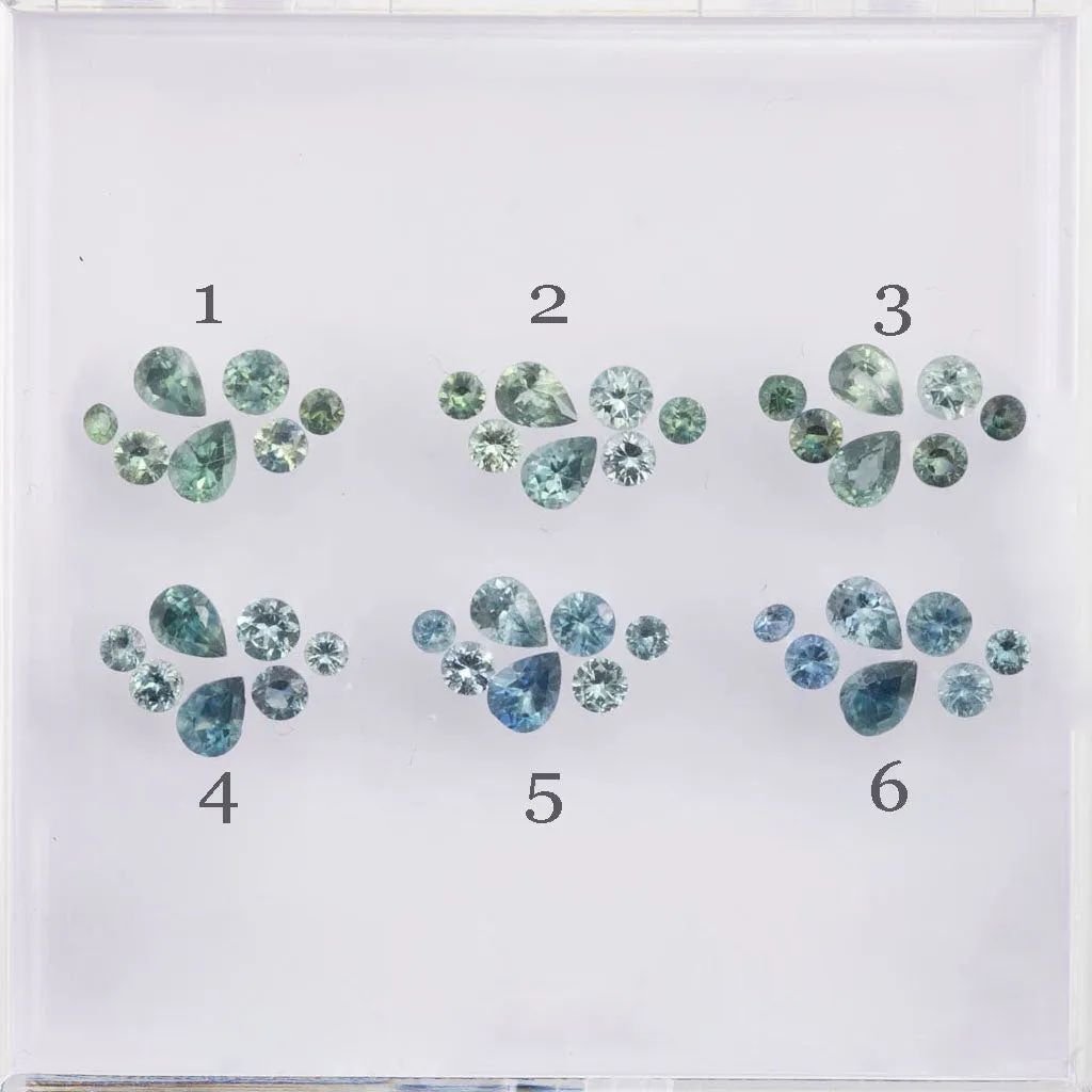 Seven Stones Stardust Setting (Pick your own sapphires)